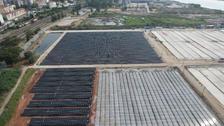 Maior produtor europeu de microalgas instala 4600 painéis solares